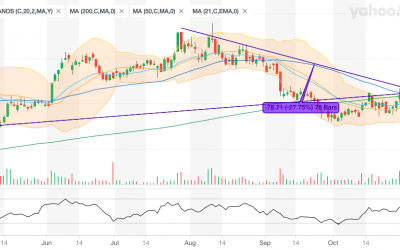 TRADE DESK Seems To Be Back In The Uptrend